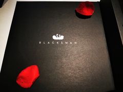 -BLACKSWAN黑天鹅(环球店)