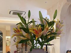 -HUATA 'Holiday Plan 花榻
