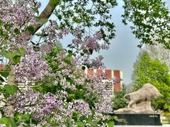 -中国政法大学(昌平校区)