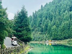 -武陵山森林公园