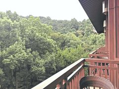 -杭州花家山庄