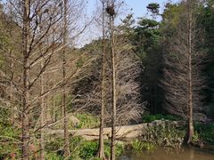 -云溪植物园