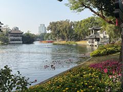 -荔湾湖公园
