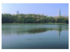 -东湖听涛景区