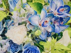 -BEAST野兽派(上海浦东嘉里城店)