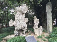 -上海醉白池公园
