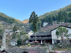 -MOJ coffee(瓯海泽雅水碓坑店)