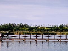 -西青郊野公园