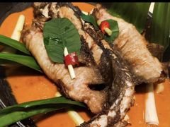 -桂林肥仔·中华餐饮名店(园湖店)