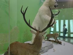 -国家自然博物馆