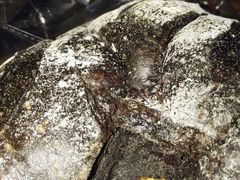 -万利隆·活力烘焙(人民路店)