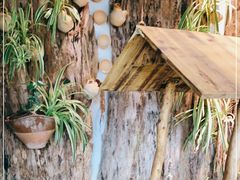 -馬蘭花開(车站大道店)