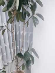 -HEYAN荷妍专业脱毛连锁机构
