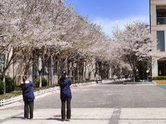 -金陵中学(河西分校)