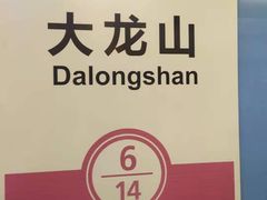 -大龙山(地铁站)