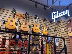 -柏斯琴行(汾阳店)