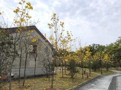 -红花湖景区