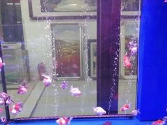 -花鸟鱼虫茶工艺品市场