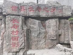 -长寿村