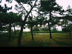 -银海大世界
