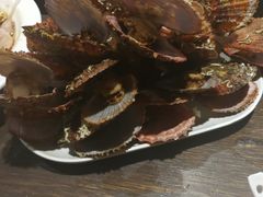 -大京园海鲜烧烤(东城路店)