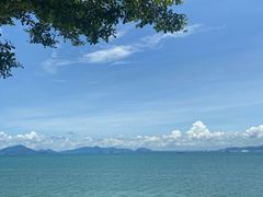 -七鲜渔港美食餐厅(巽寮湾海景店)