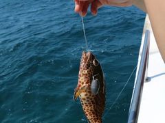 -卡帕莱度假村(西巴丹岛)