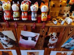 -名猫咖啡馆·撸猫·拼豆