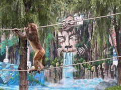 -北京野生动物园