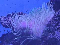 -石家庄极地海洋世界