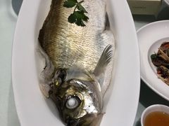 -张福记(五一公园店)