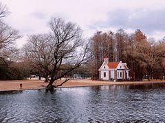 -上海共青森林公园