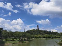 -顺峰山公园