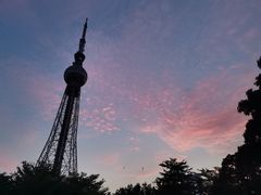 -文华公园(禅城区)