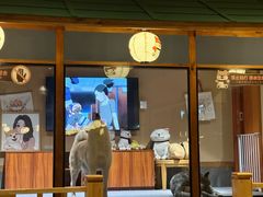 -大江户·温泉洗浴(浑南店)