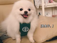 -奈斯宠物医院·核磁CT·异宠专科·内镜(中南店)