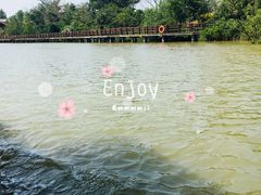 -东寨港红树林旅游区