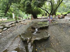 -成都市活水公园