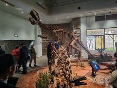 -自贡恐龙博物馆