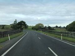 -怀托摩萤火虫洞