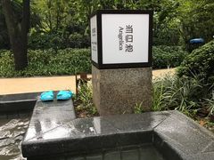 -海兰云天度假区温泉