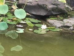 -南山植物园