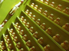 -杭州西湖星空魔幻城(星空艺术馆品牌旗舰店)