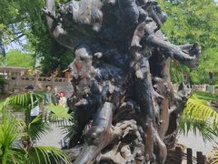 -大槐树寻根祭祖园