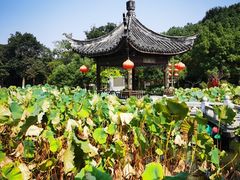 -丝绸小镇荻港古村