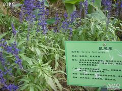-济南植物园