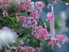 -杭州城北体育公园