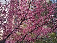 -西安市纺织公园