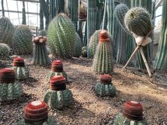 -南山植物园