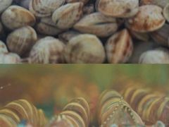 -三亚火车头万人海鲜广场